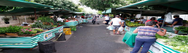 feira livre 1